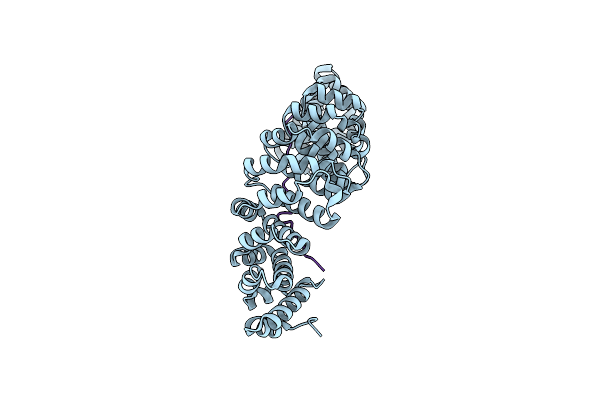 7RFX image