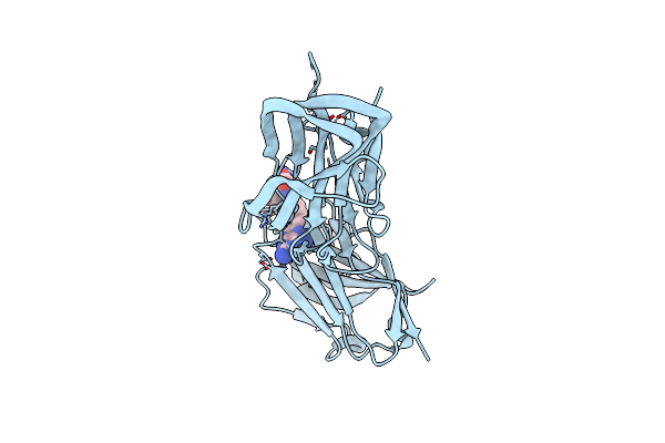 7RG7 image