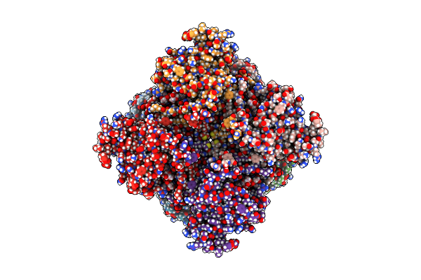 7RGI image