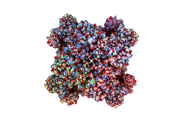 7RGM image