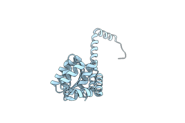 7RGV image
