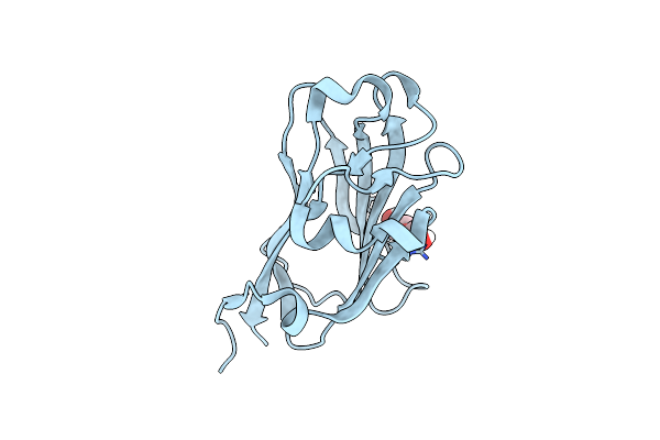 7RGW image