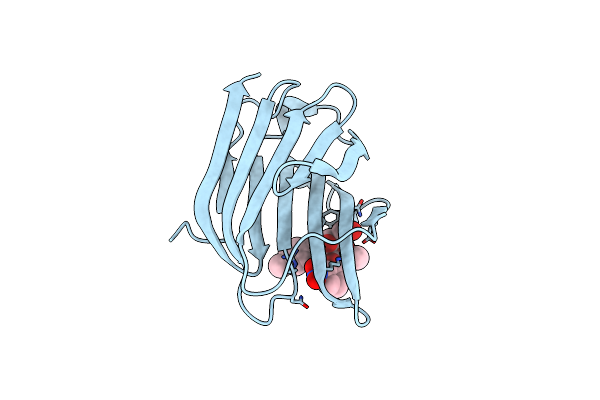 7RH1 image