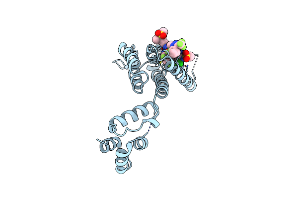 7RHN image