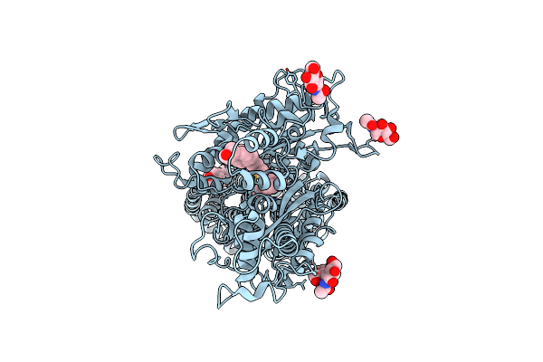 7RHR image