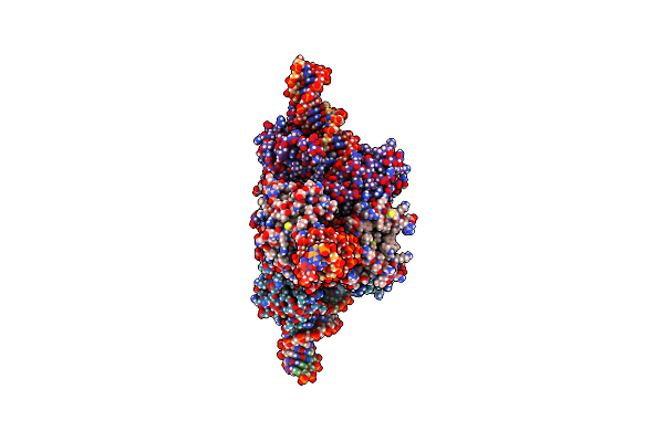 7RHX image