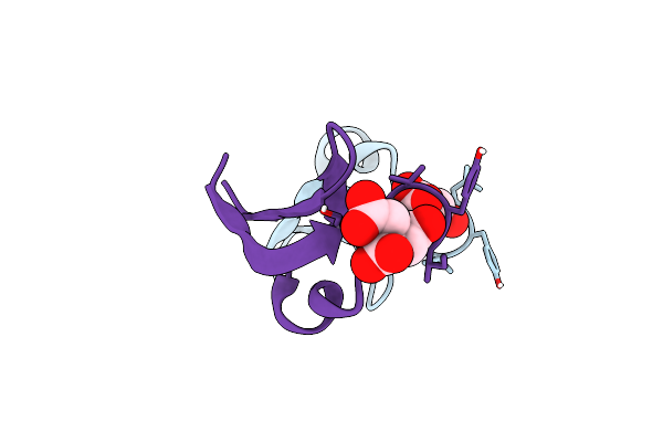 7RIH image