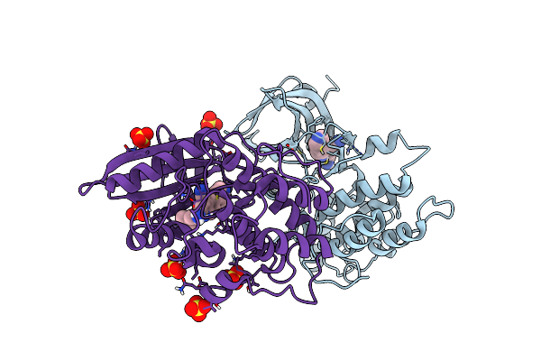 7RJ7 image