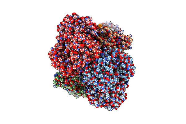 7RJA image