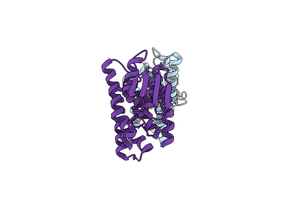 7RKA image