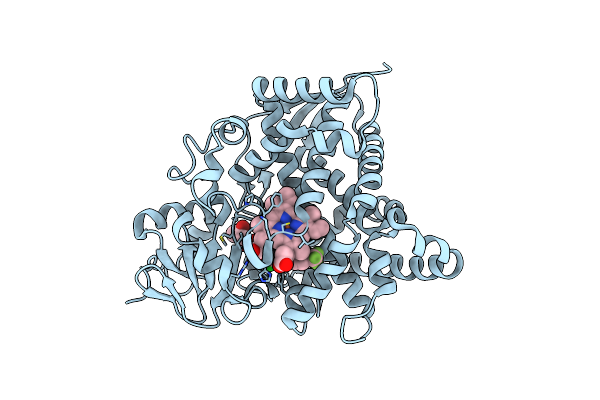7RKT image