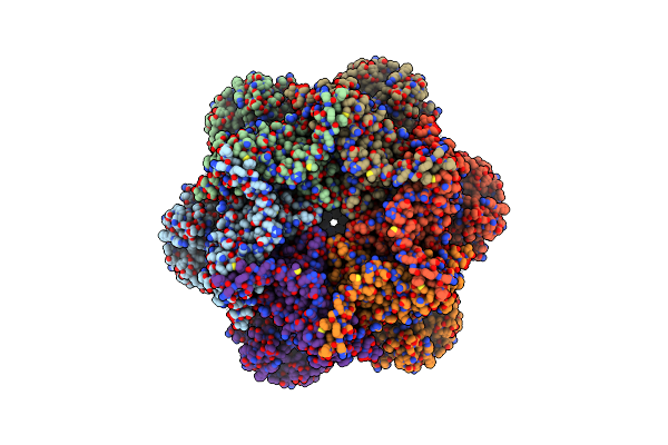 7RLB image