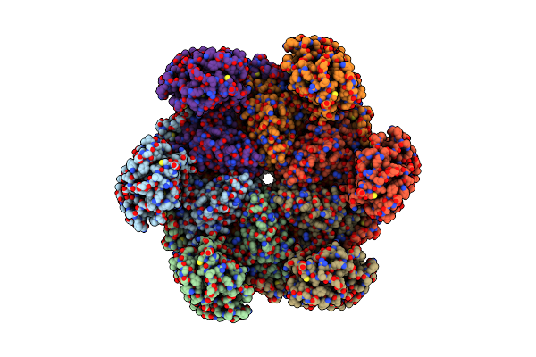 7RLC image