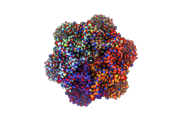 7RLG image