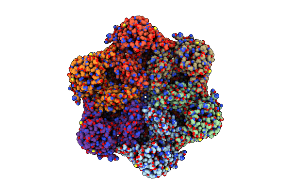 7RLH image