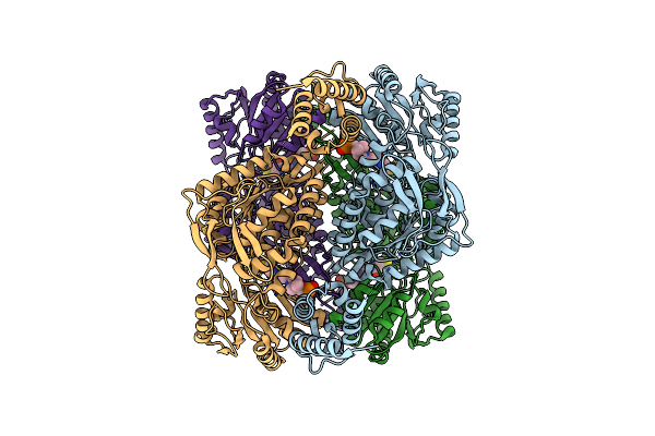 7RLT image