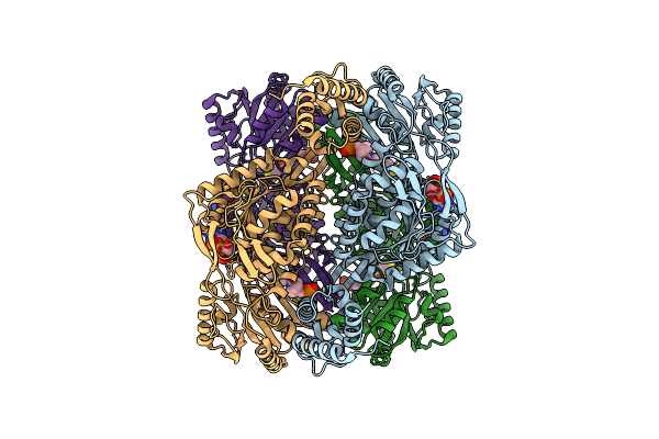 7RLU image
