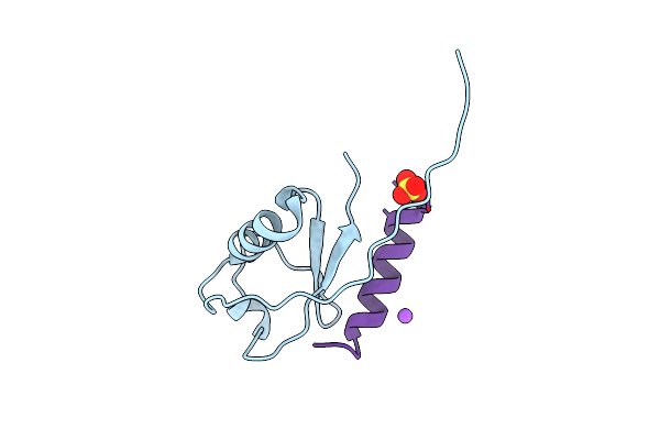 7RMA image
