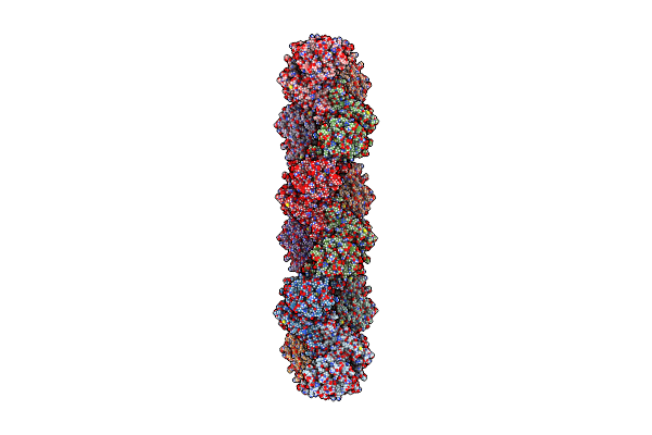 7RMC image