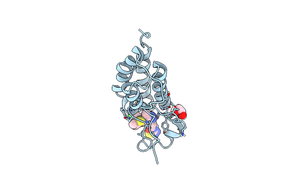 7RMD image
