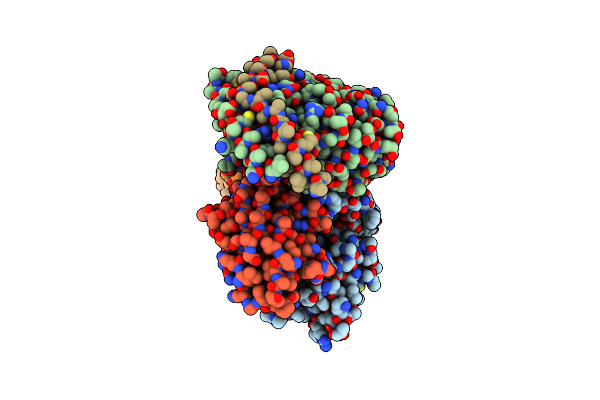 7RMI image