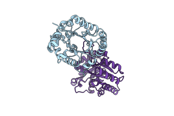 7RMN image