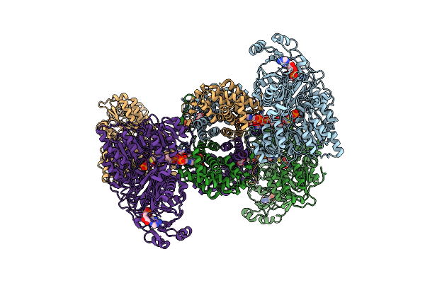 7RMP image
