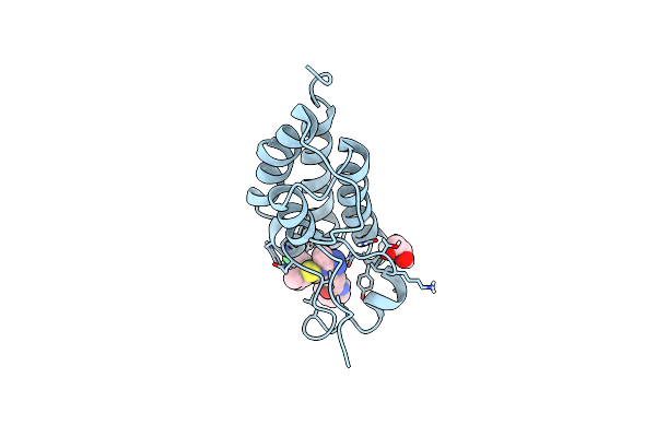 7RN2 image
