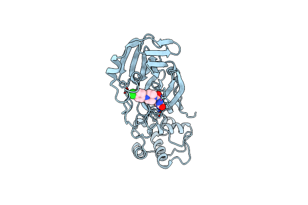 7RNH image