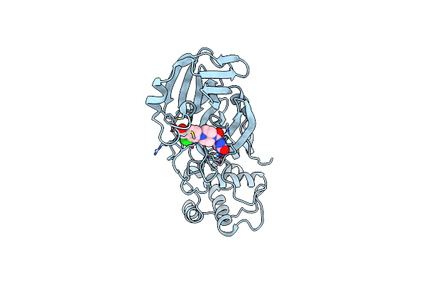 7RNK image