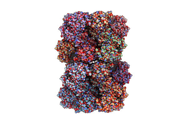 7RNL image