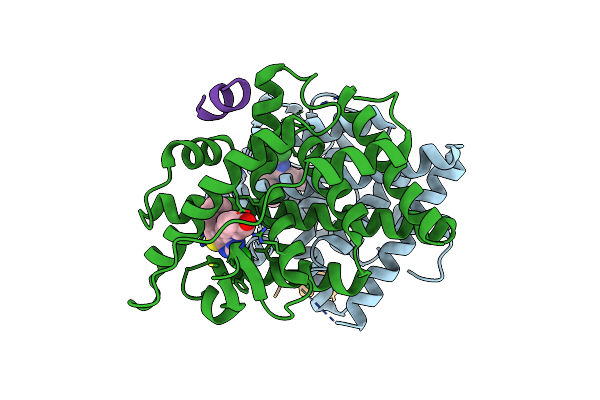 7RNM image