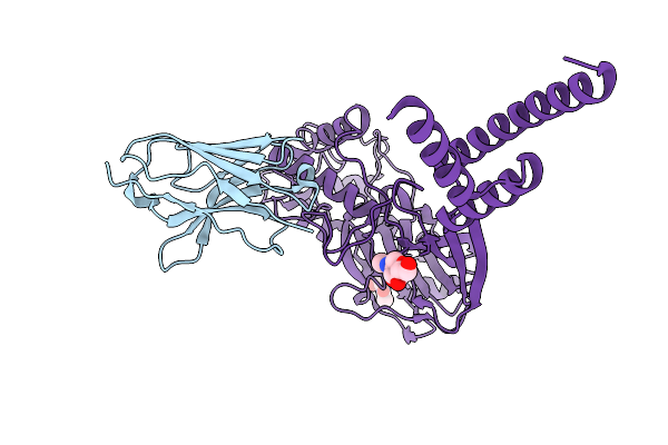 7RNN image