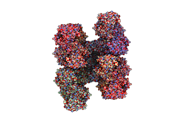 7RNR image