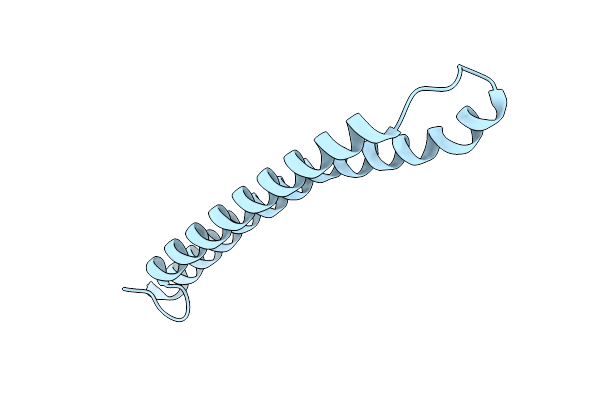 7ROD image