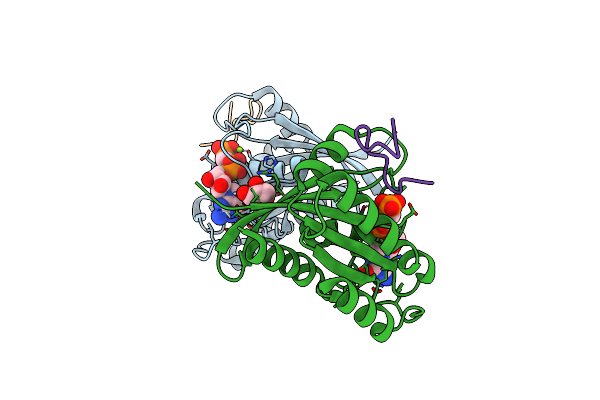 7ROV image