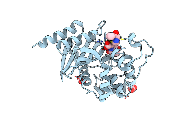 7RPB image