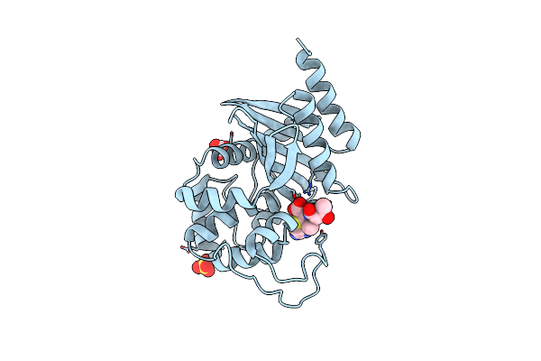 7RPC image