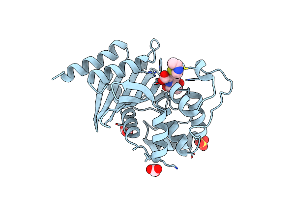7RPD image