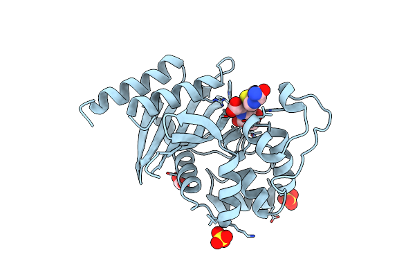 7RPE image