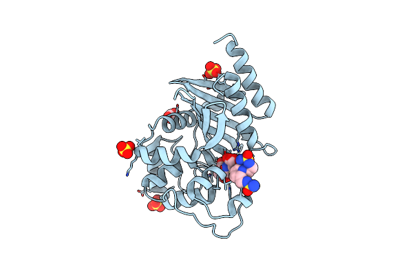 7RPF image