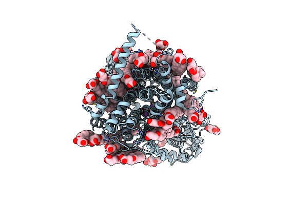 7RPH image