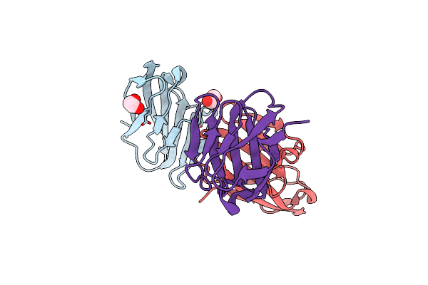 7RPP image