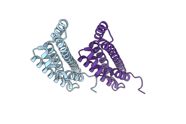 7RPR image
