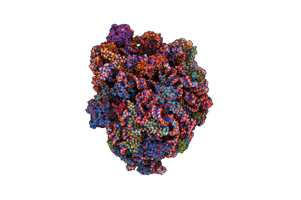 7RR5 image