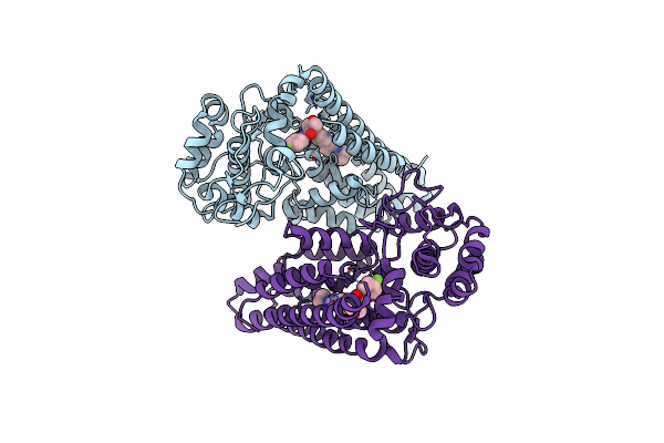 7RRB image