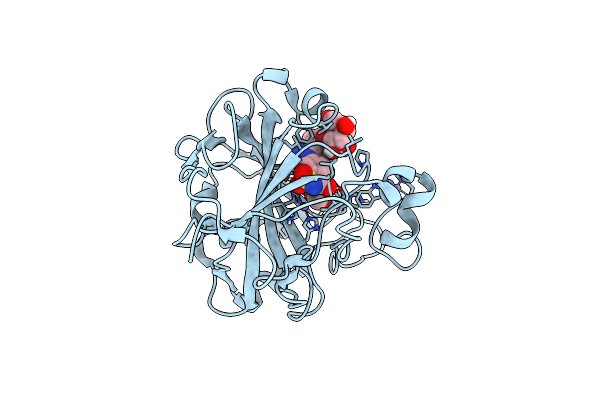7RRE image