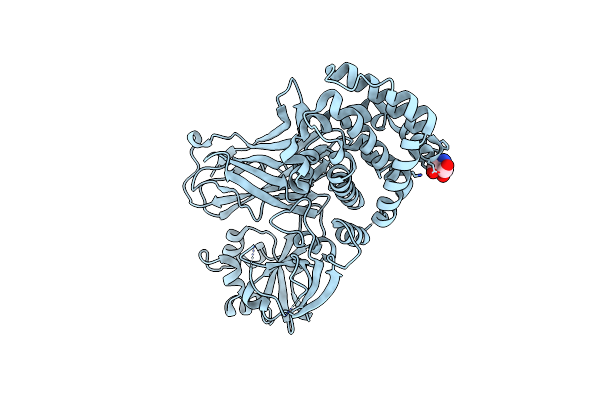 7RRW image