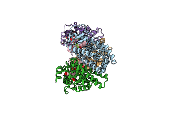 7RRX image