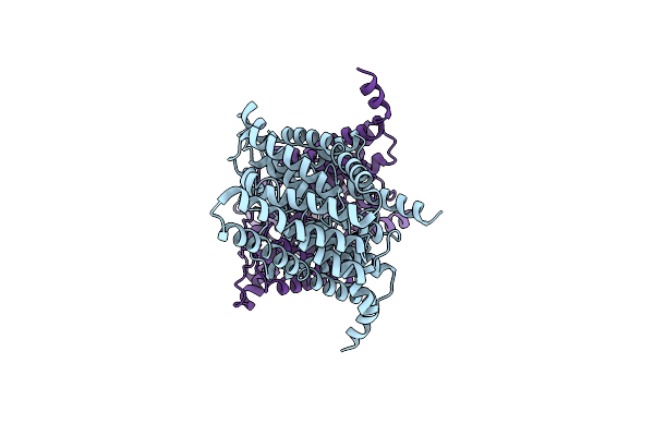 7RSB image